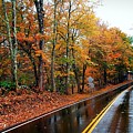 Wet NH road in Fall